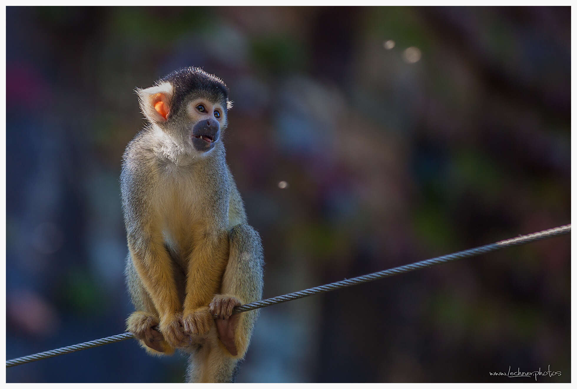 20111002 111025 IMG 0053