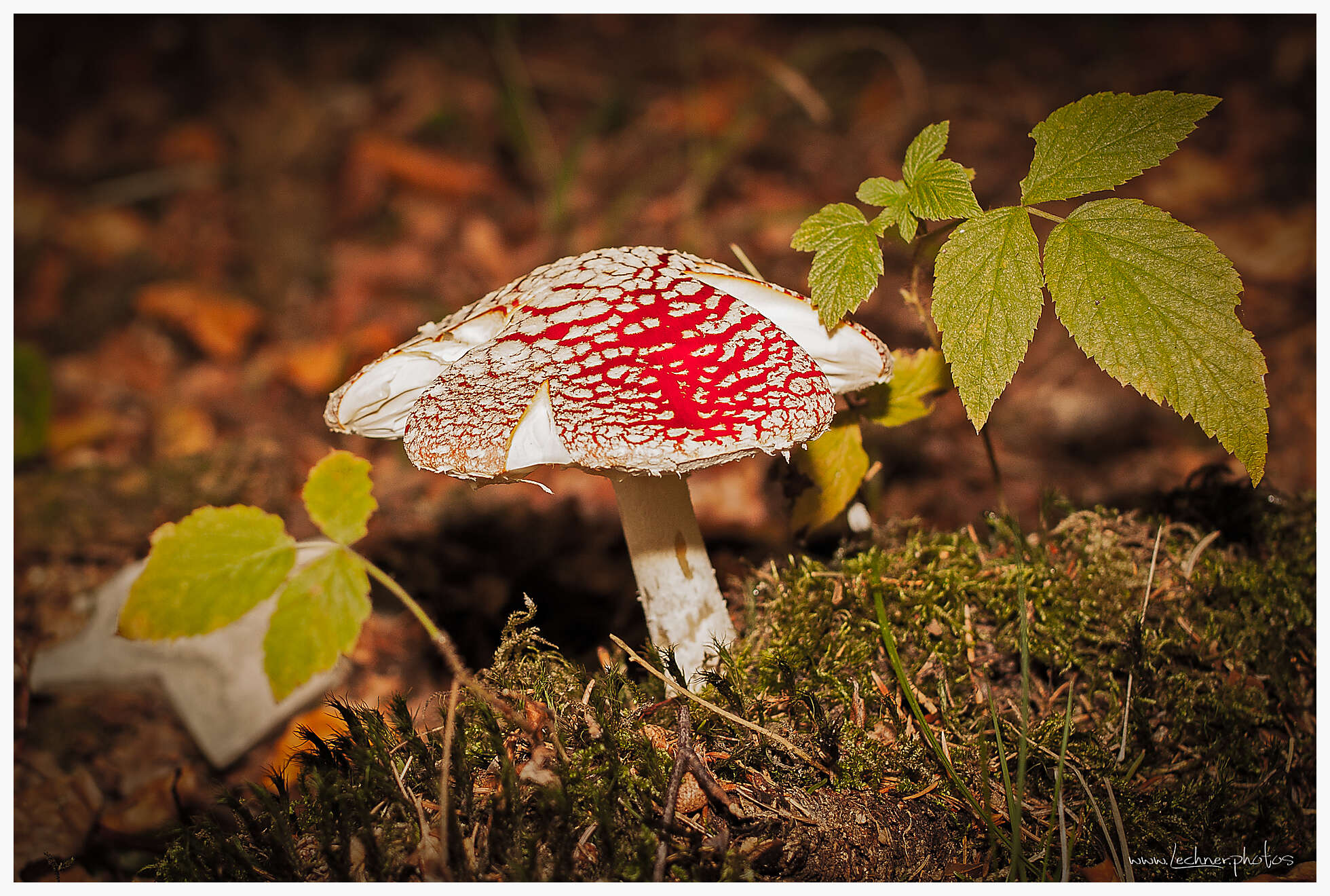 20131005 104449 IMG 0307 Bearbeitet