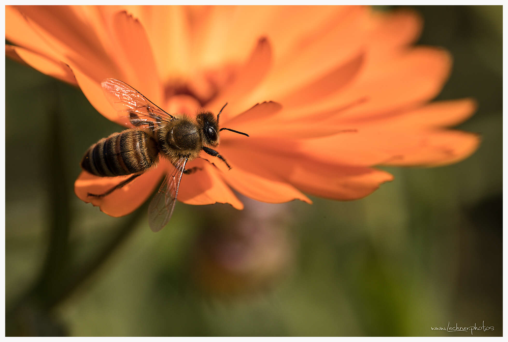 20170924 114137 949A4441