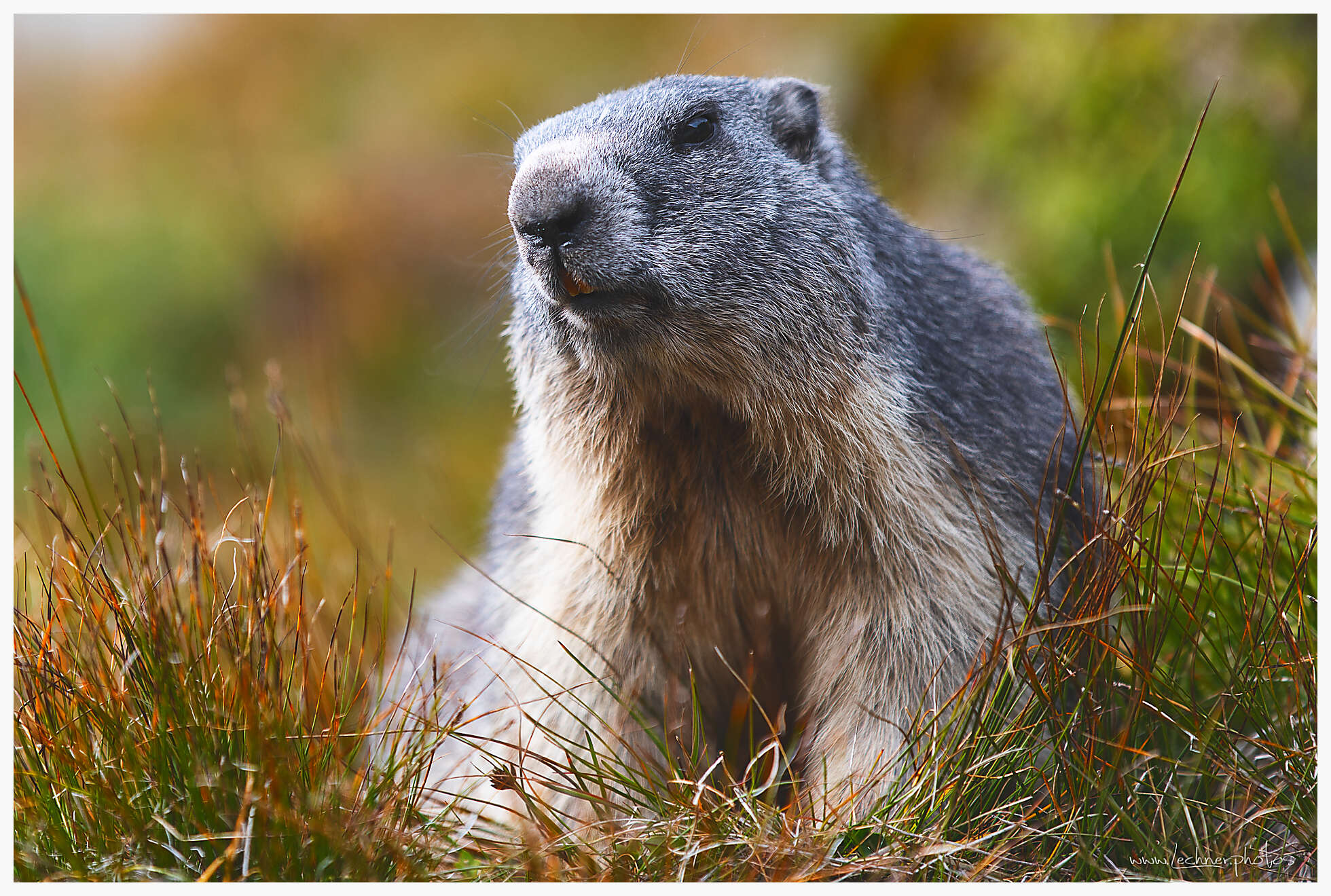 20180829 165531 949A0325 Bearbeitet