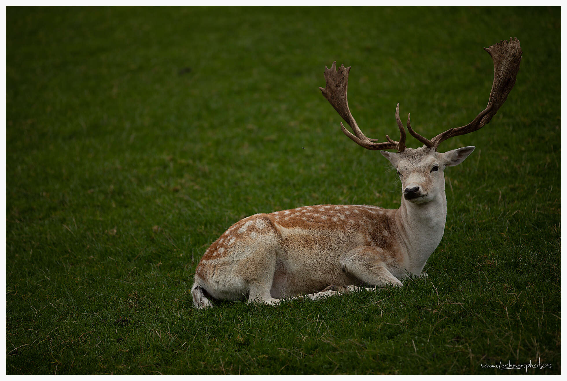 20180907 160551 949A1549