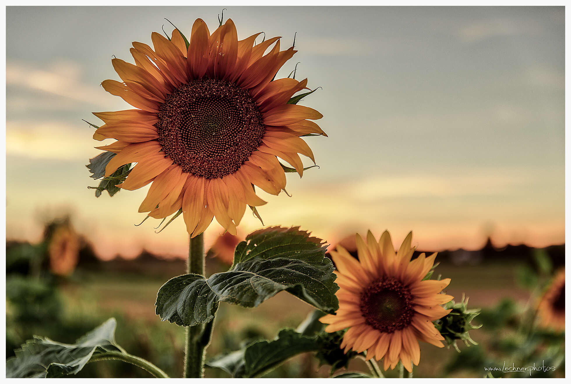 20180911 194515 949A1687 AuroraHDR2018 edit