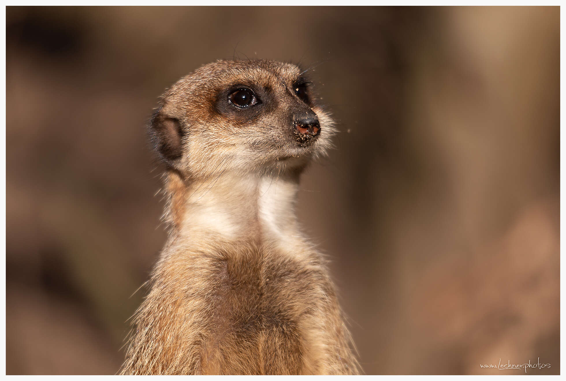 20190216 144442  49A4507