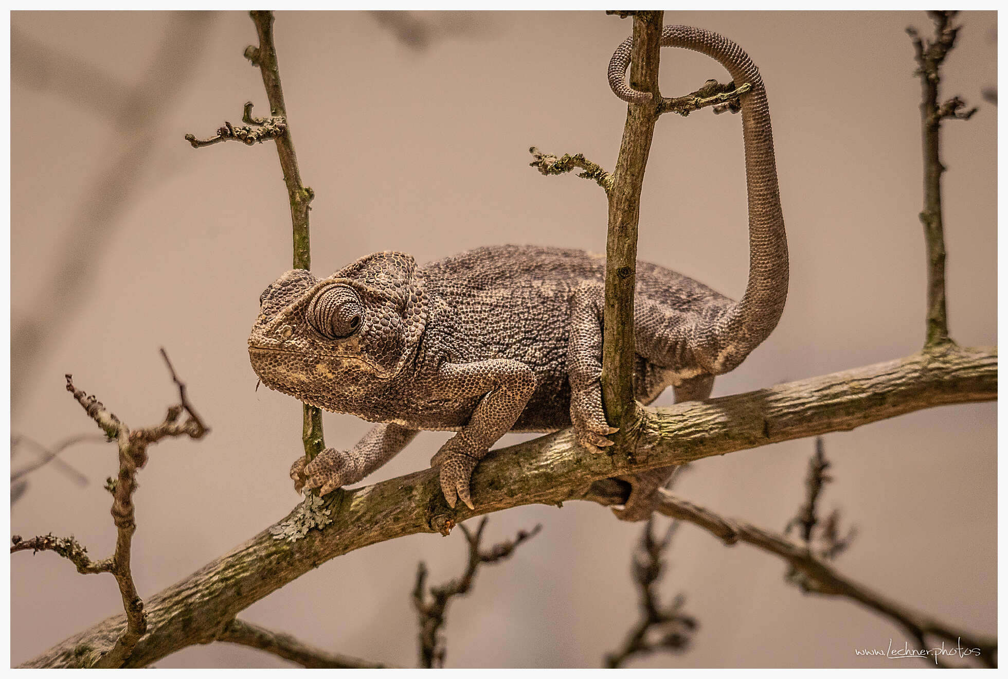 20190216 152643  49A4609