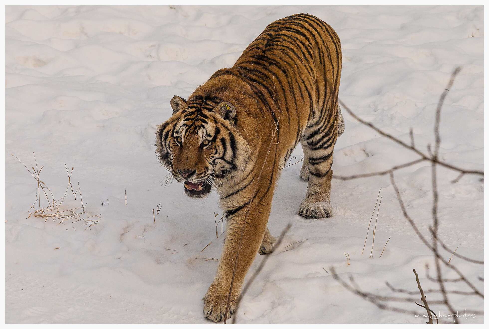 20200119 110148  49A3914