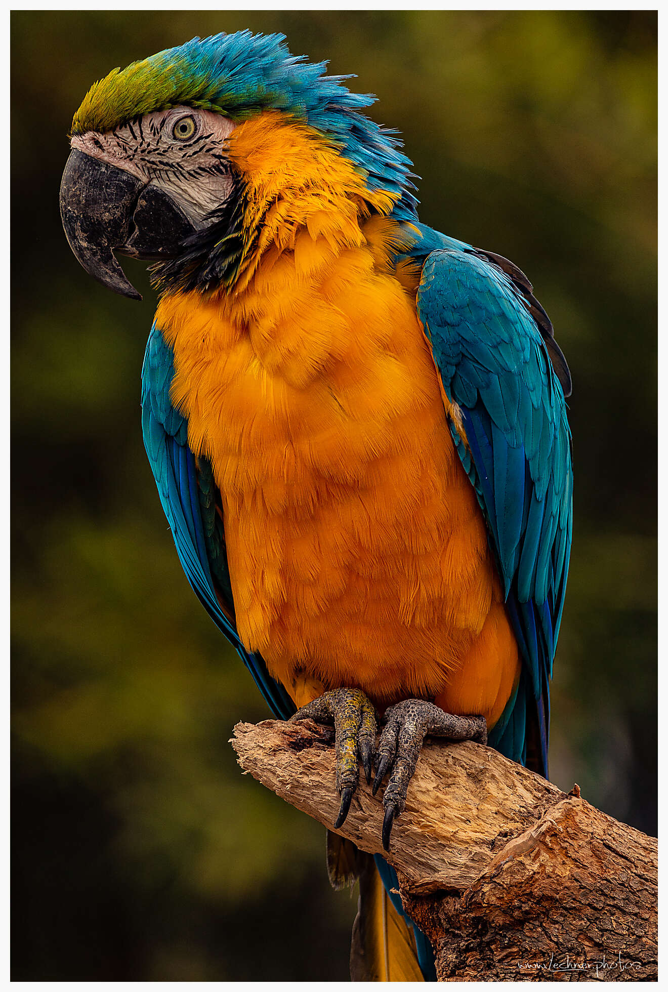 20210124 12 04 52  49A3054