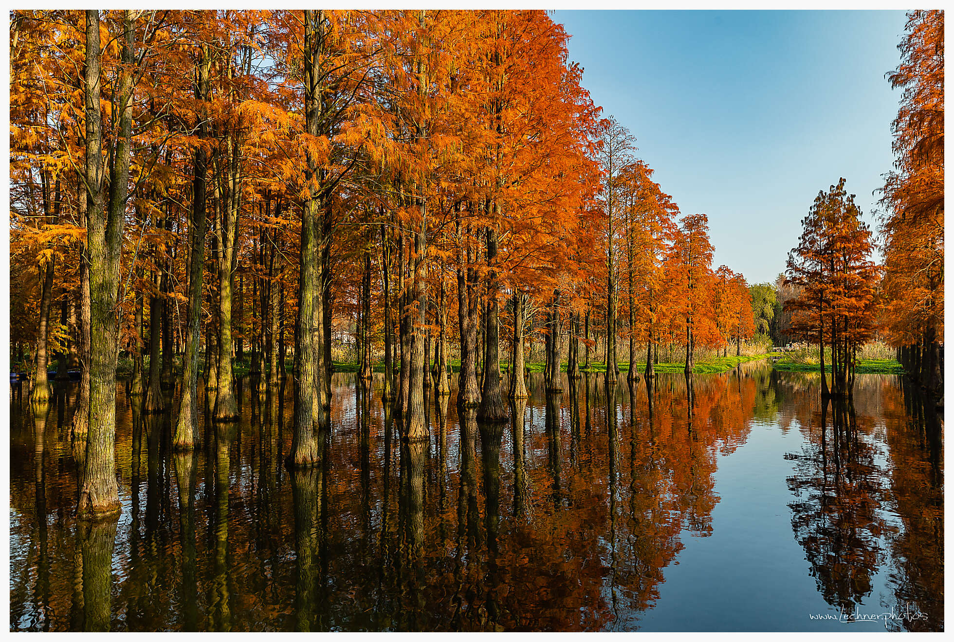 Qingxi Water forest Shanghai