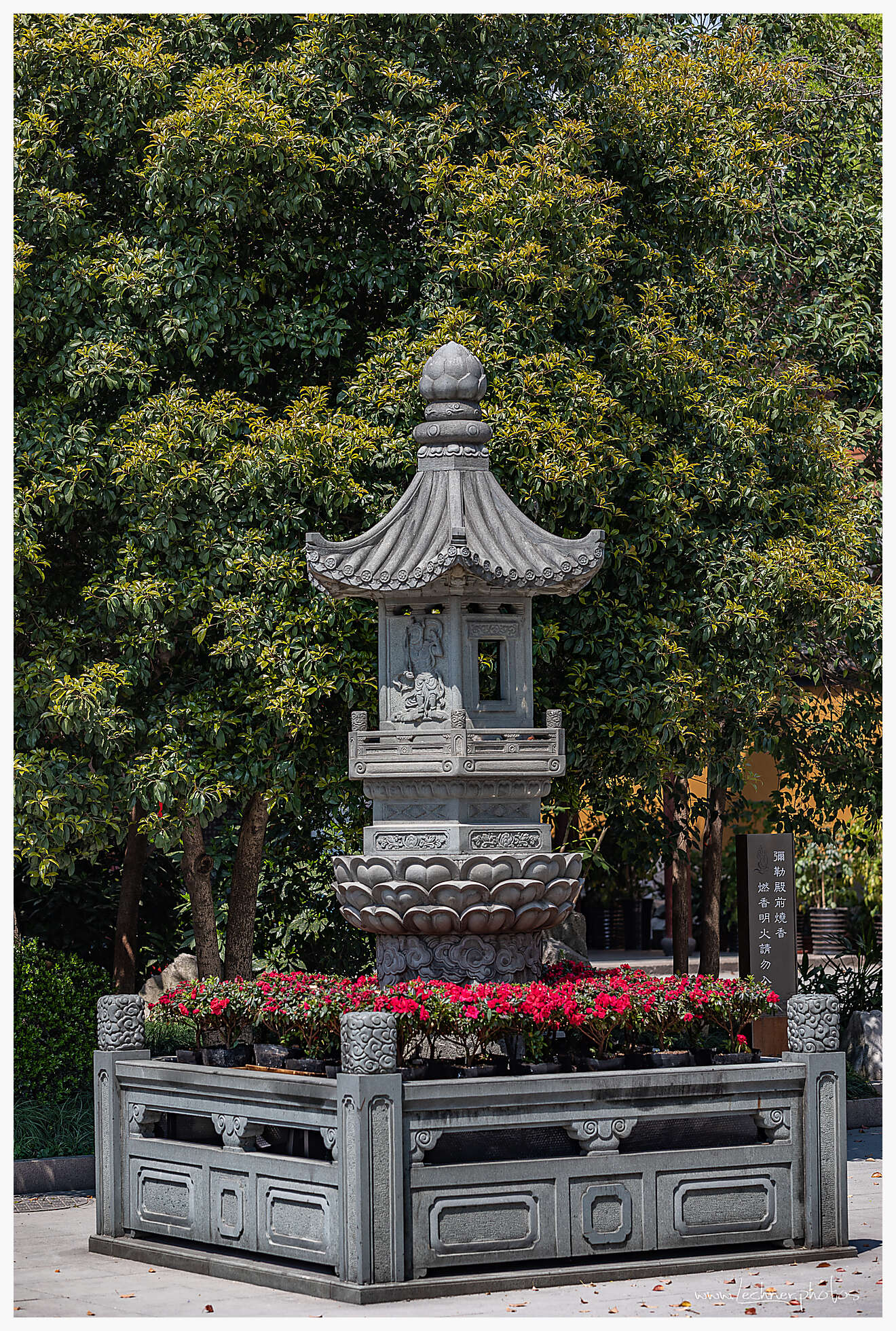 20190407 070410  49A6339