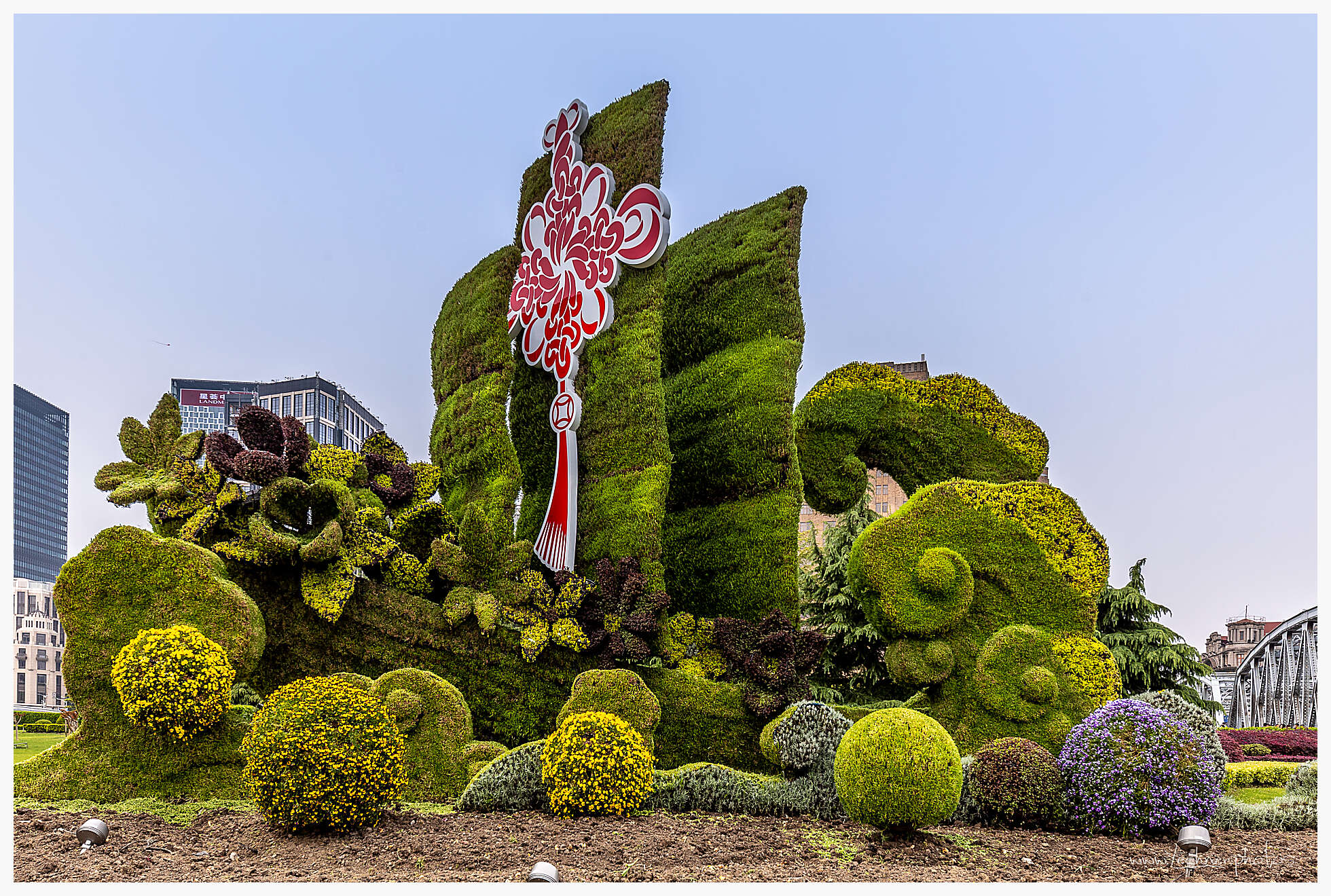 20190414 082500  49A6542