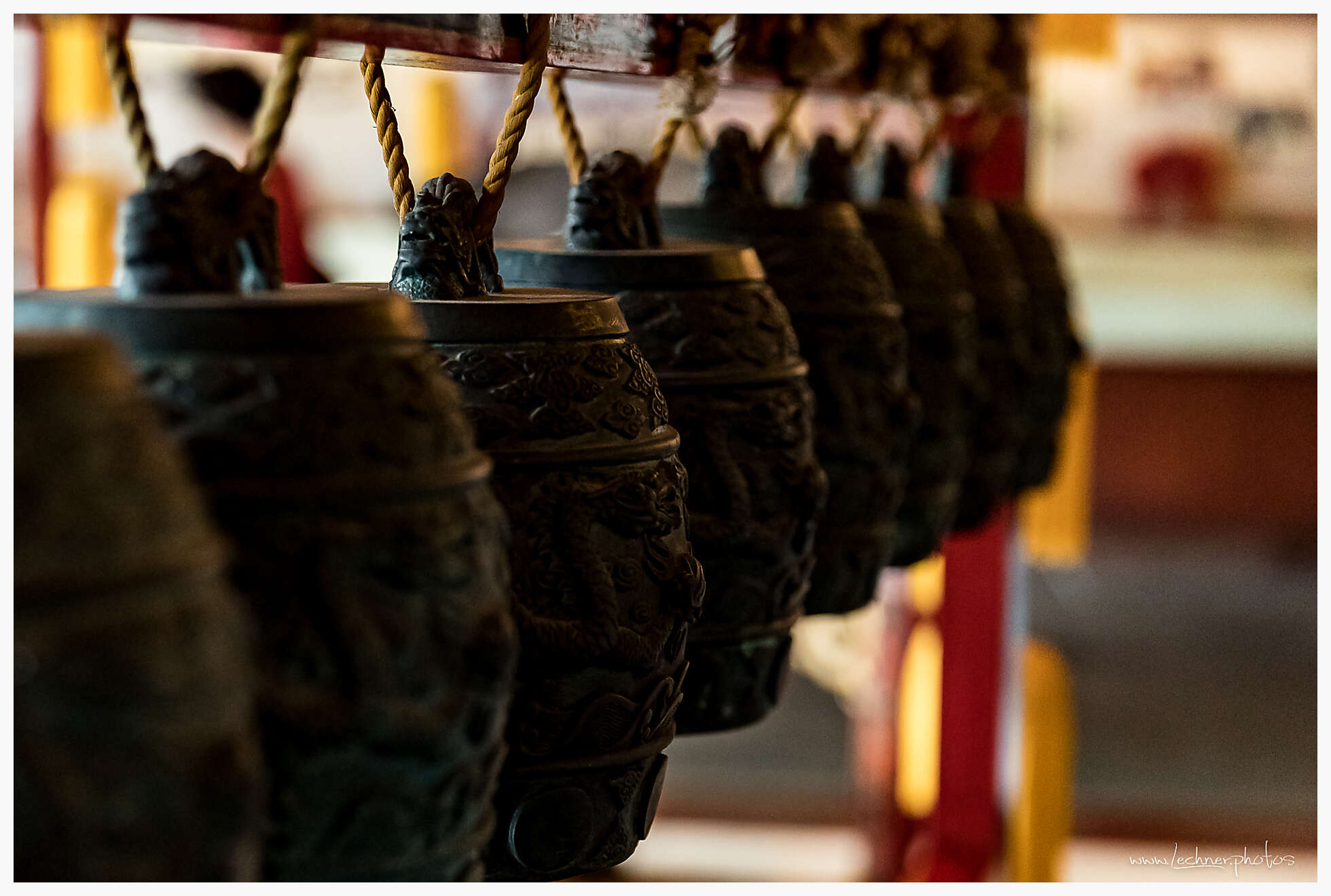 20190824 040715  49A8759