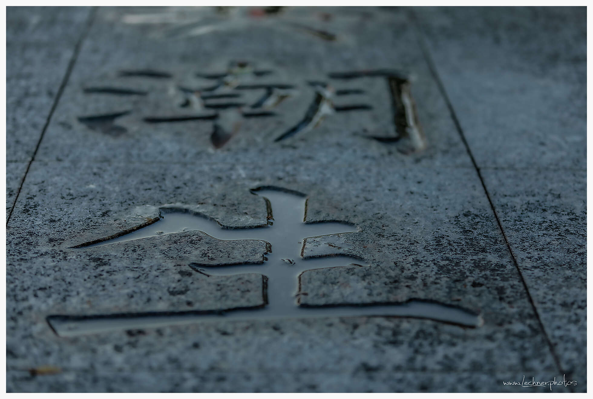 20201005 06 31 59  49A9984