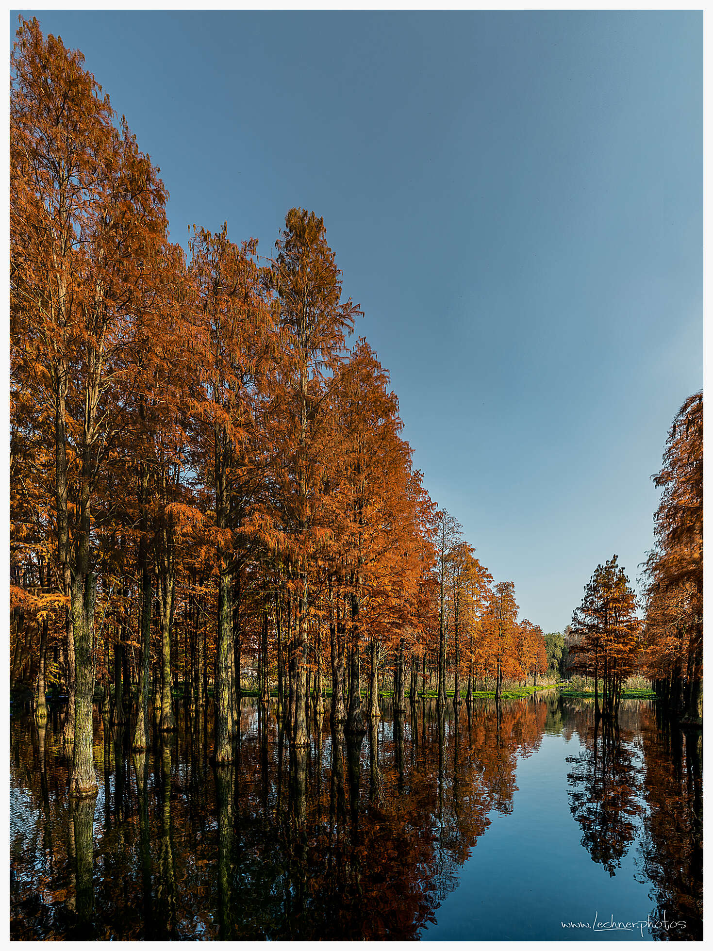 Qingxi Water forest Shanghai