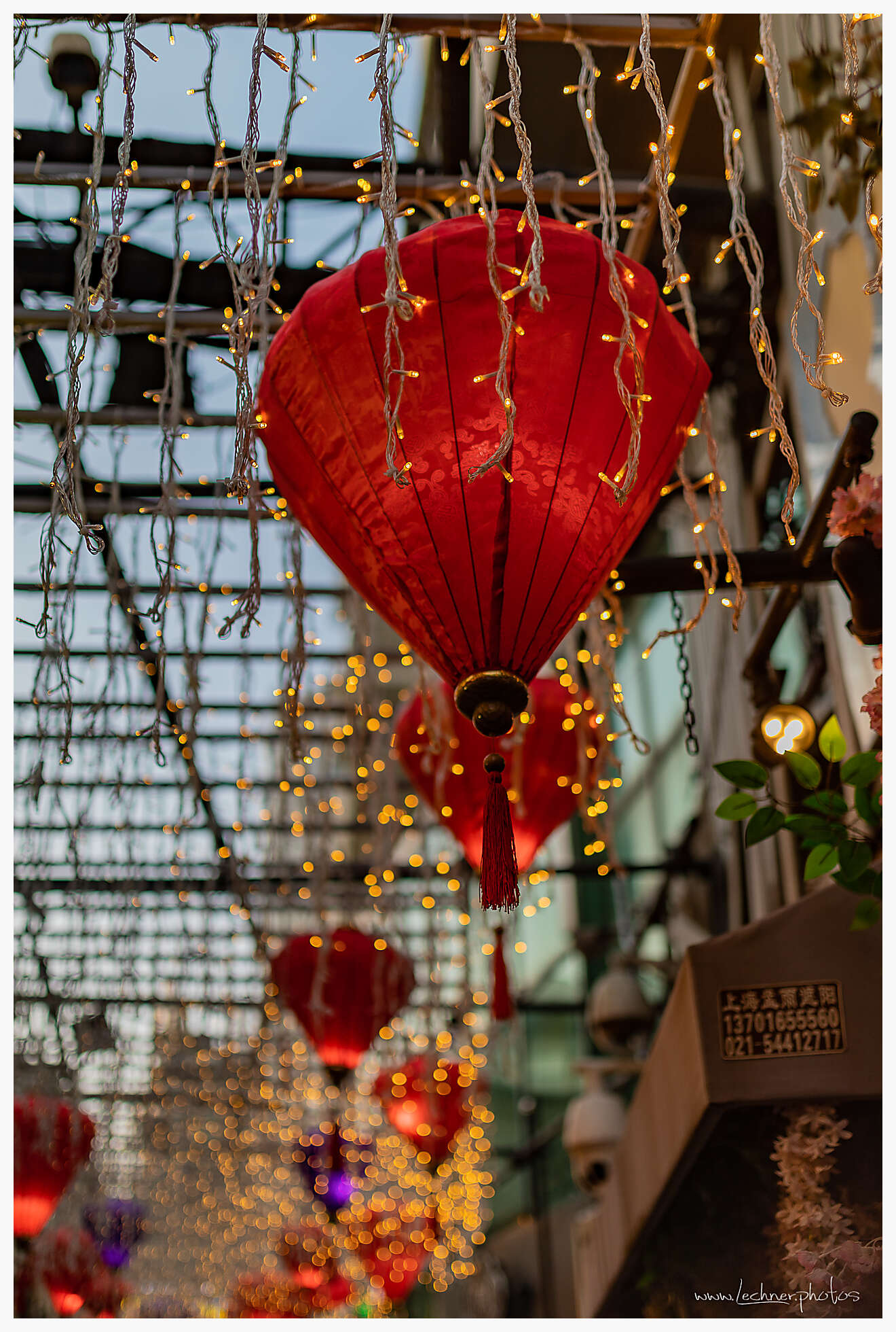 20210214 17 20 32  49A5245