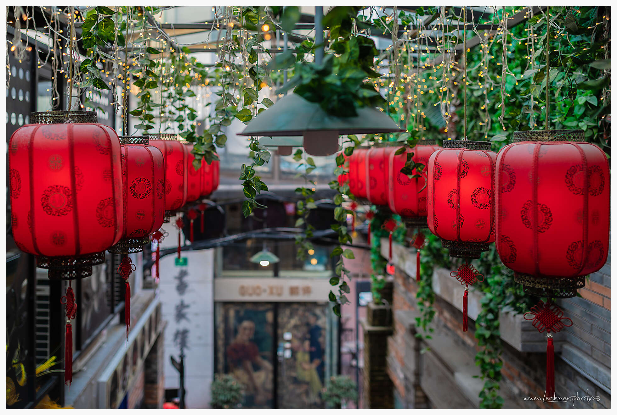 20210214 17 29 29  49A5258