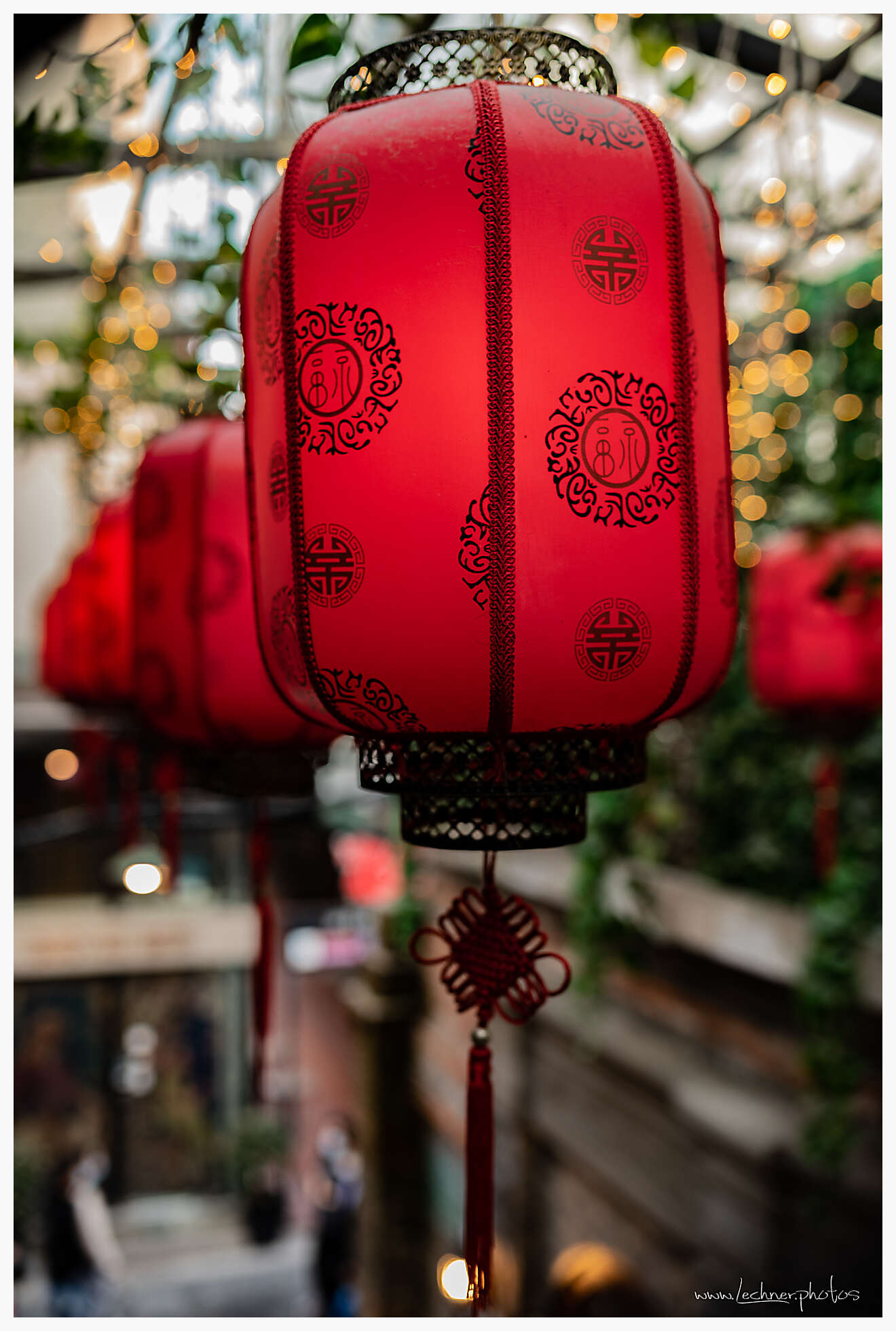 20210214 17 30 13  49A5266