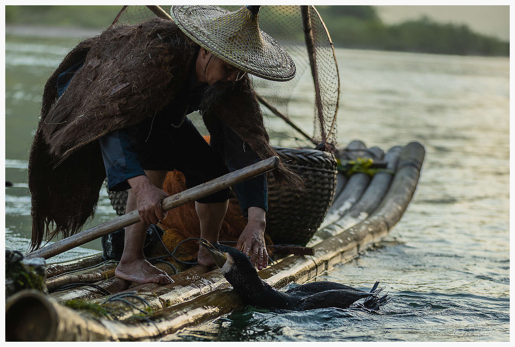 The Cormorant Fisher on Li River