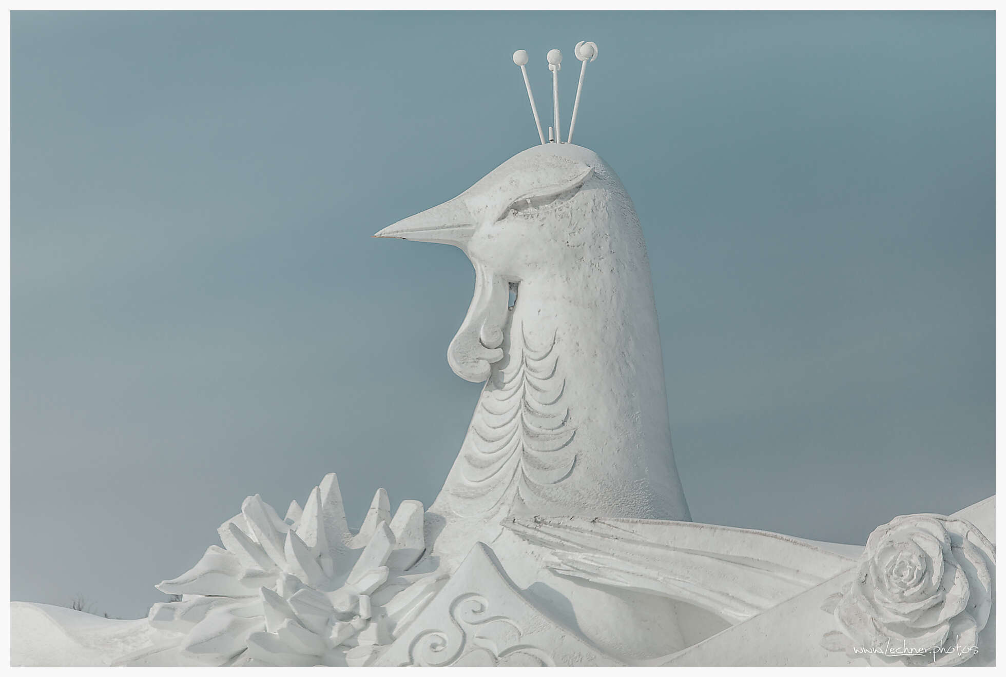 20200118 123133  49A3381