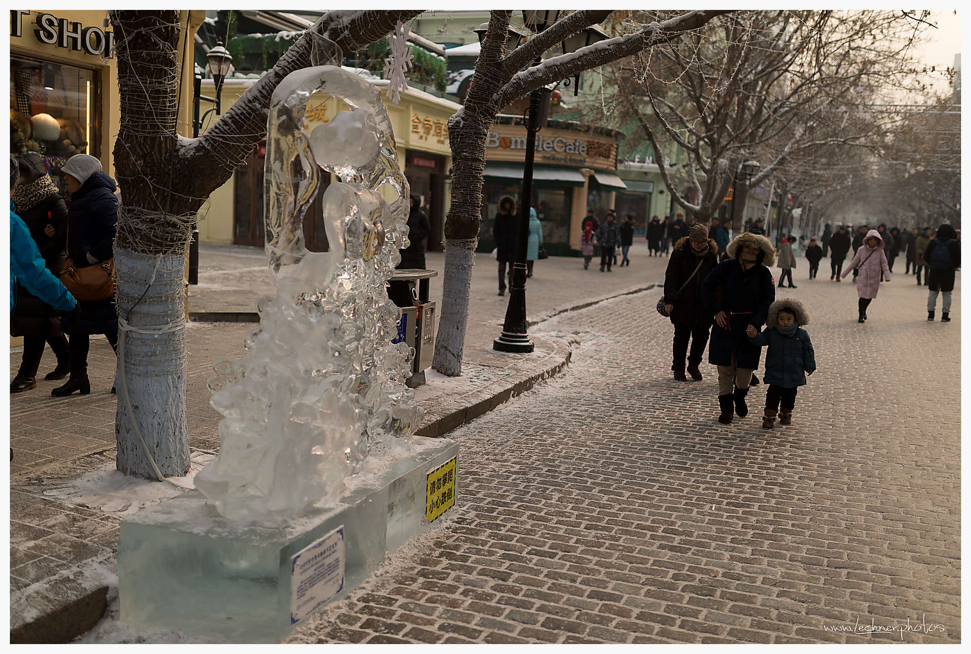 20200119 123618  49A4008