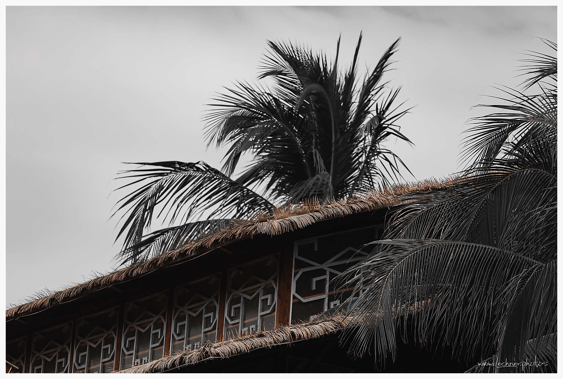 20201218 11 34 48  49A2048