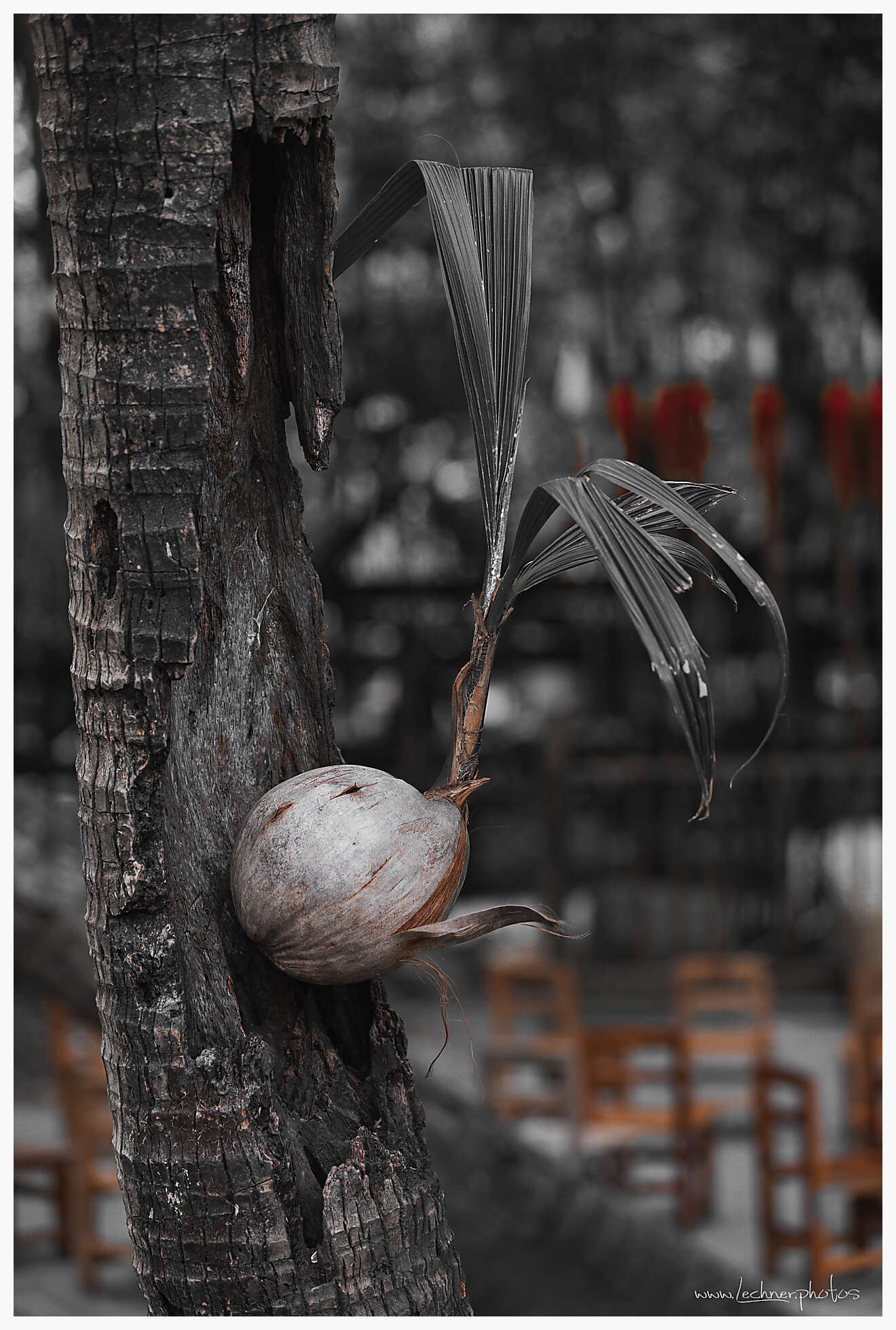 20201218 11 51 42  49A2081