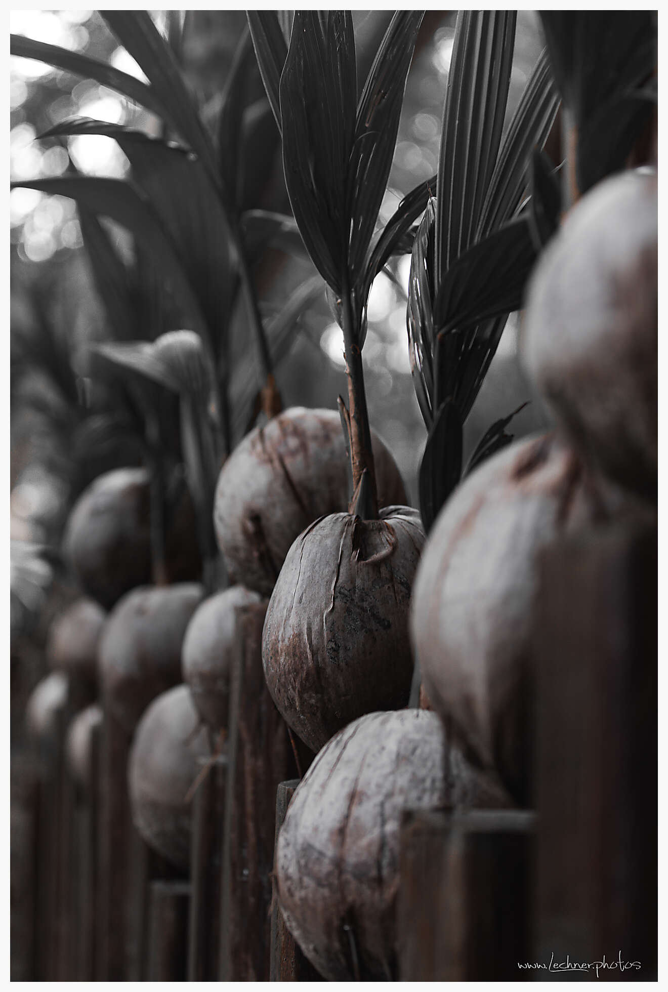 20201218 11 52 28  49A2082