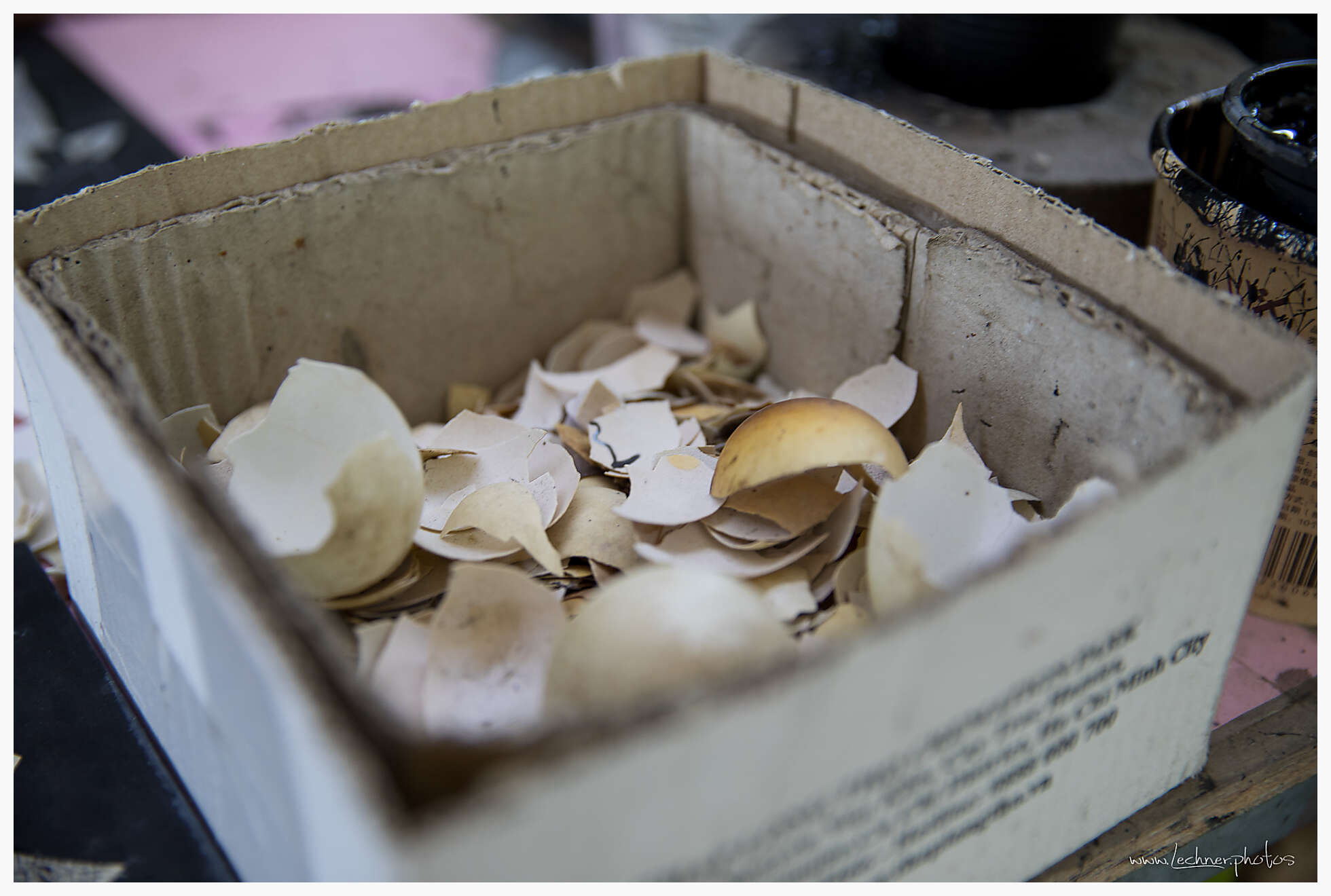 Mekong Delta handicapped art center