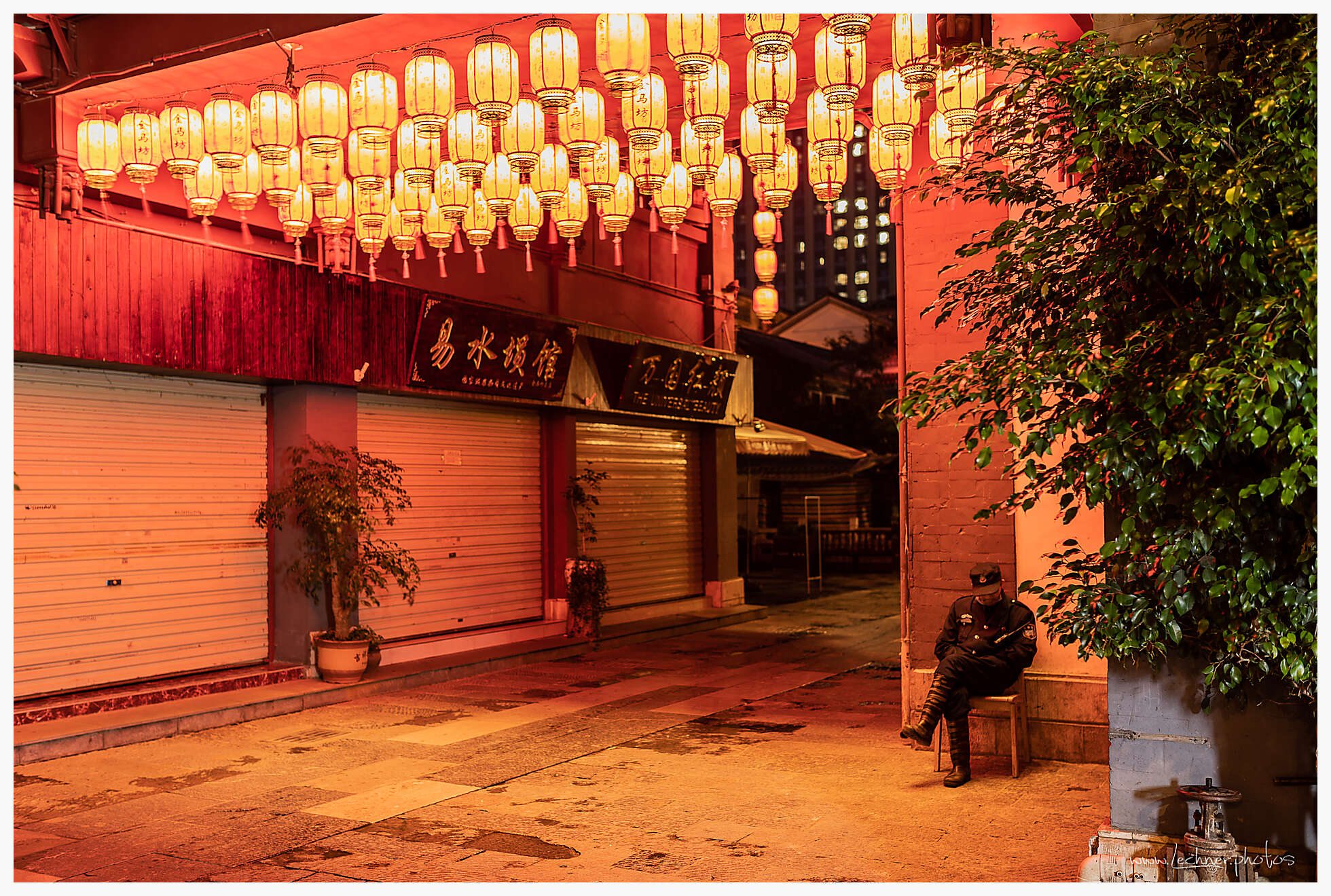 20200727 060254  49A7601