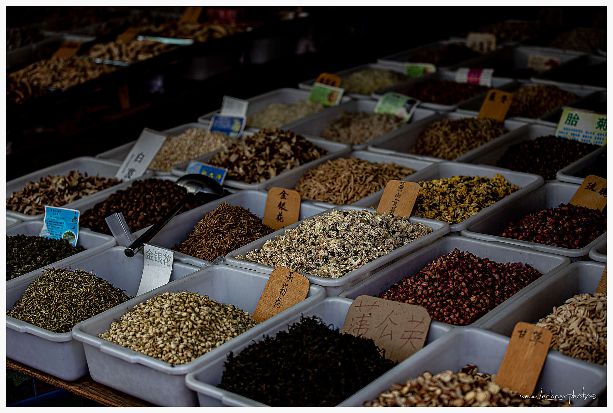 20200731 091642  49A9676