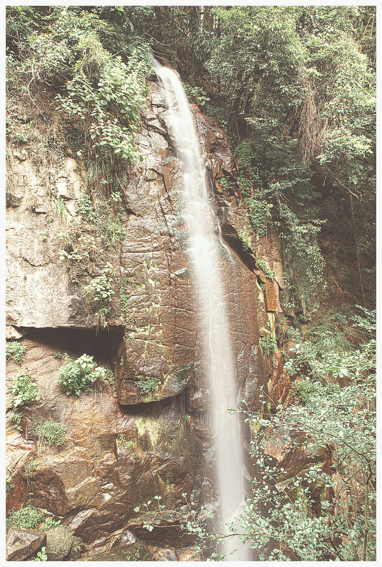 20190805 053613  49A8089