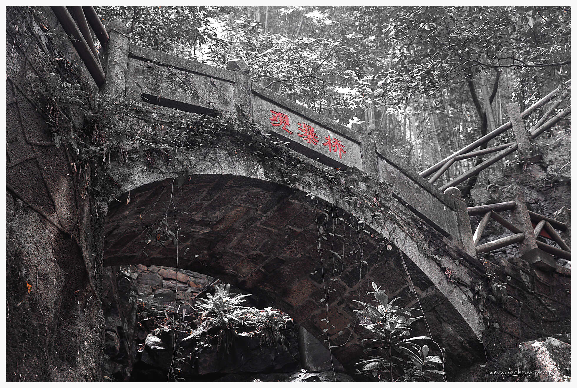 20190805 060852  49A8162