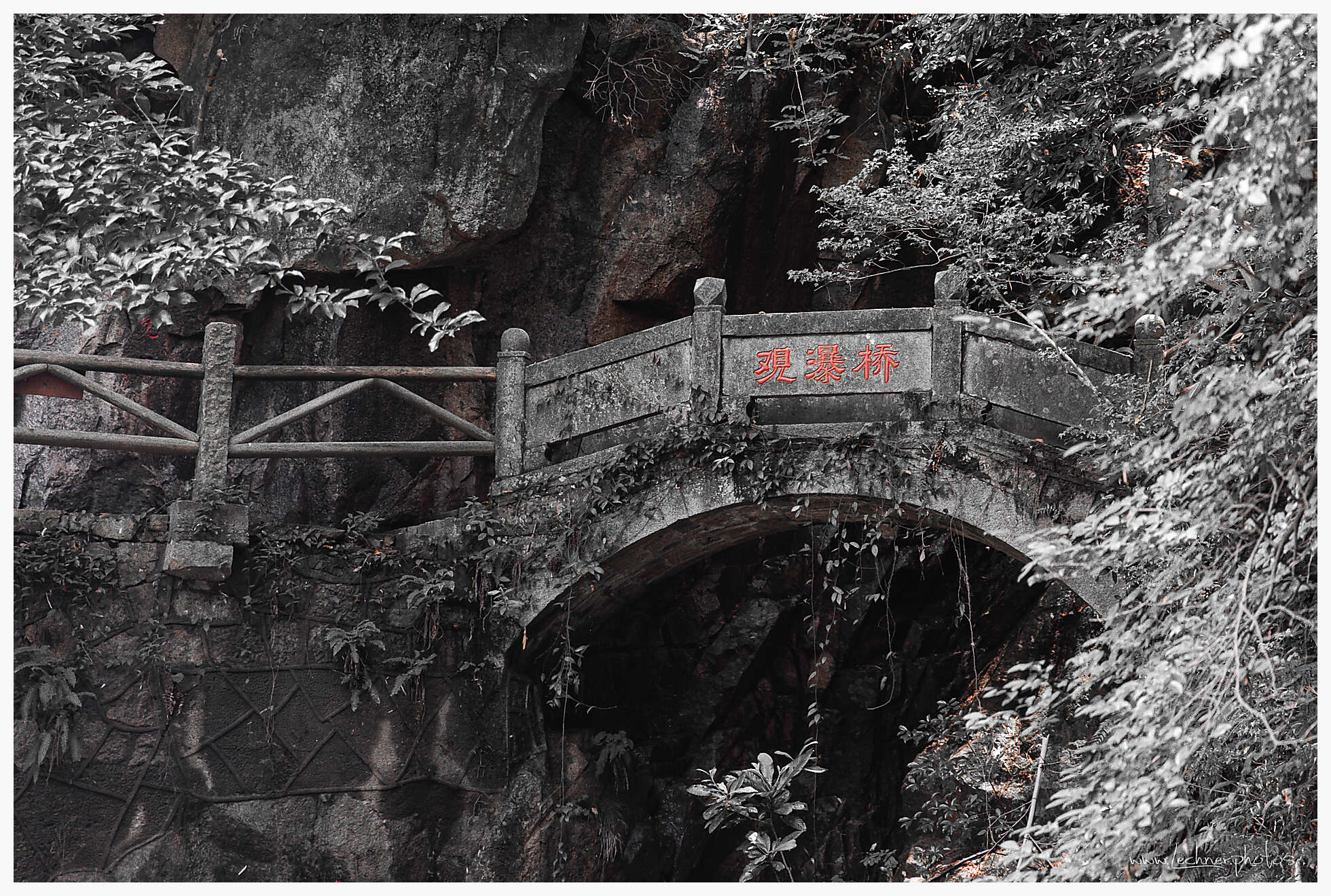 20190805 060943  49A8165